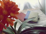 /album/fotogaleria/a174638-134810956586114-7731739-n-jpg/